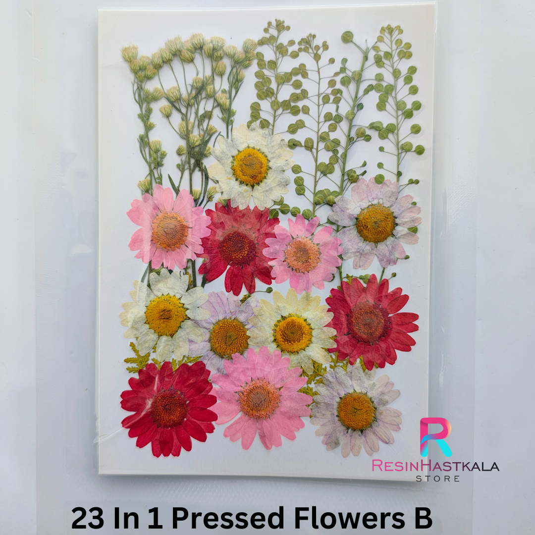 23 In 1 Pressed Flowers B