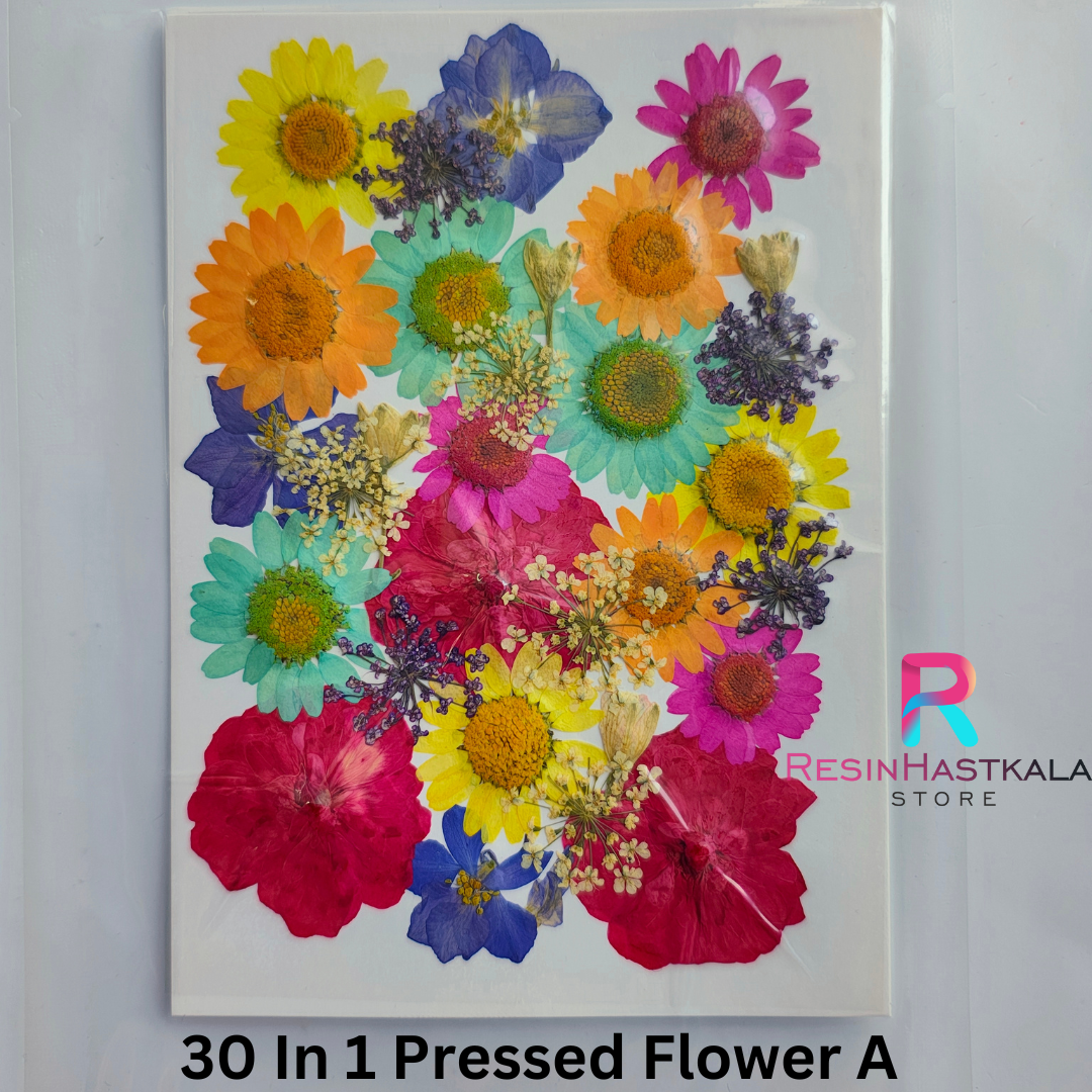 30 in 1 Pressed Flower A