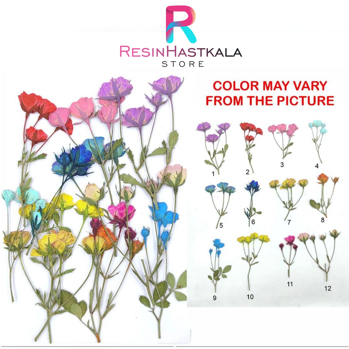 12 In 1 Multi Rose Pressed Flower