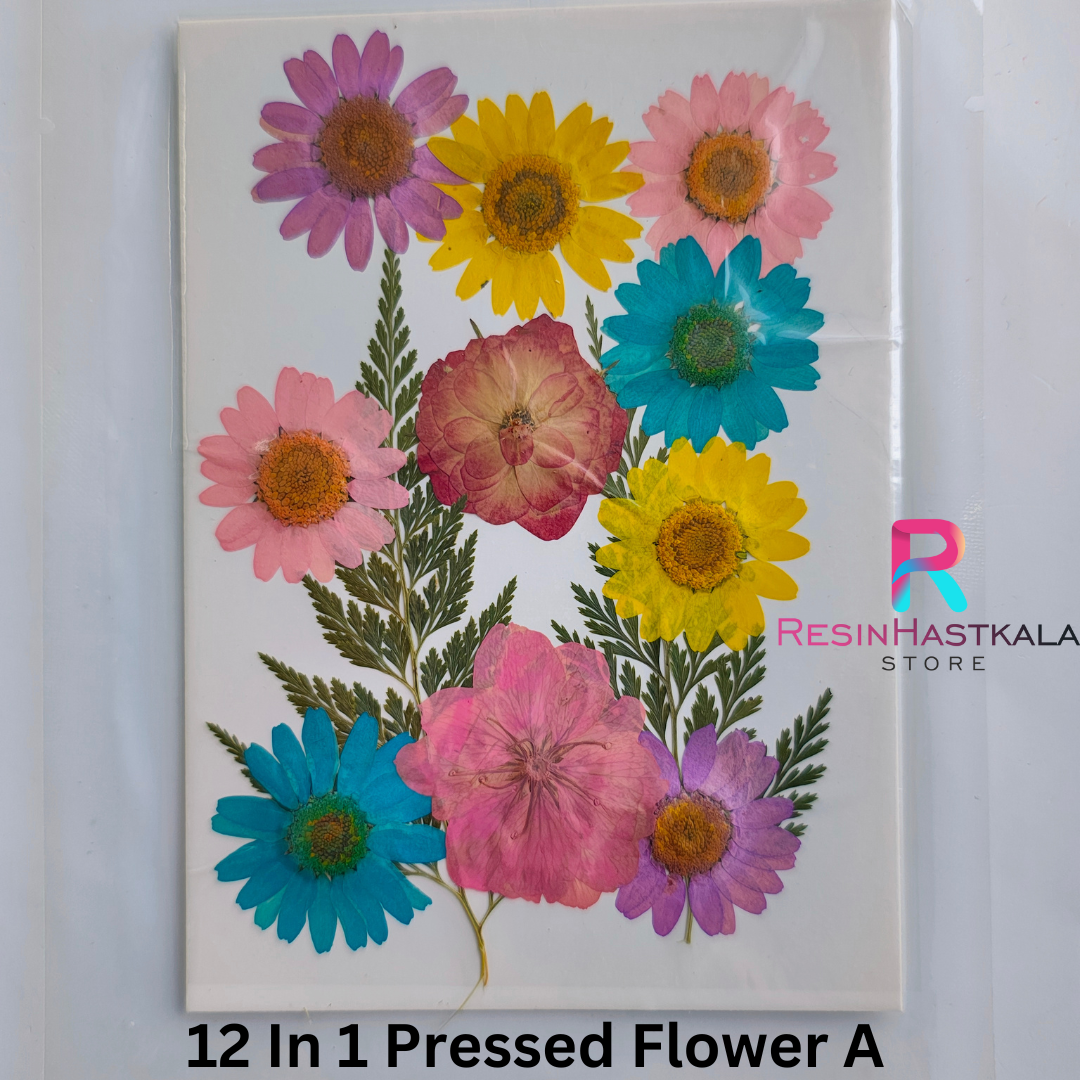12 In 1 Pressed Flower A