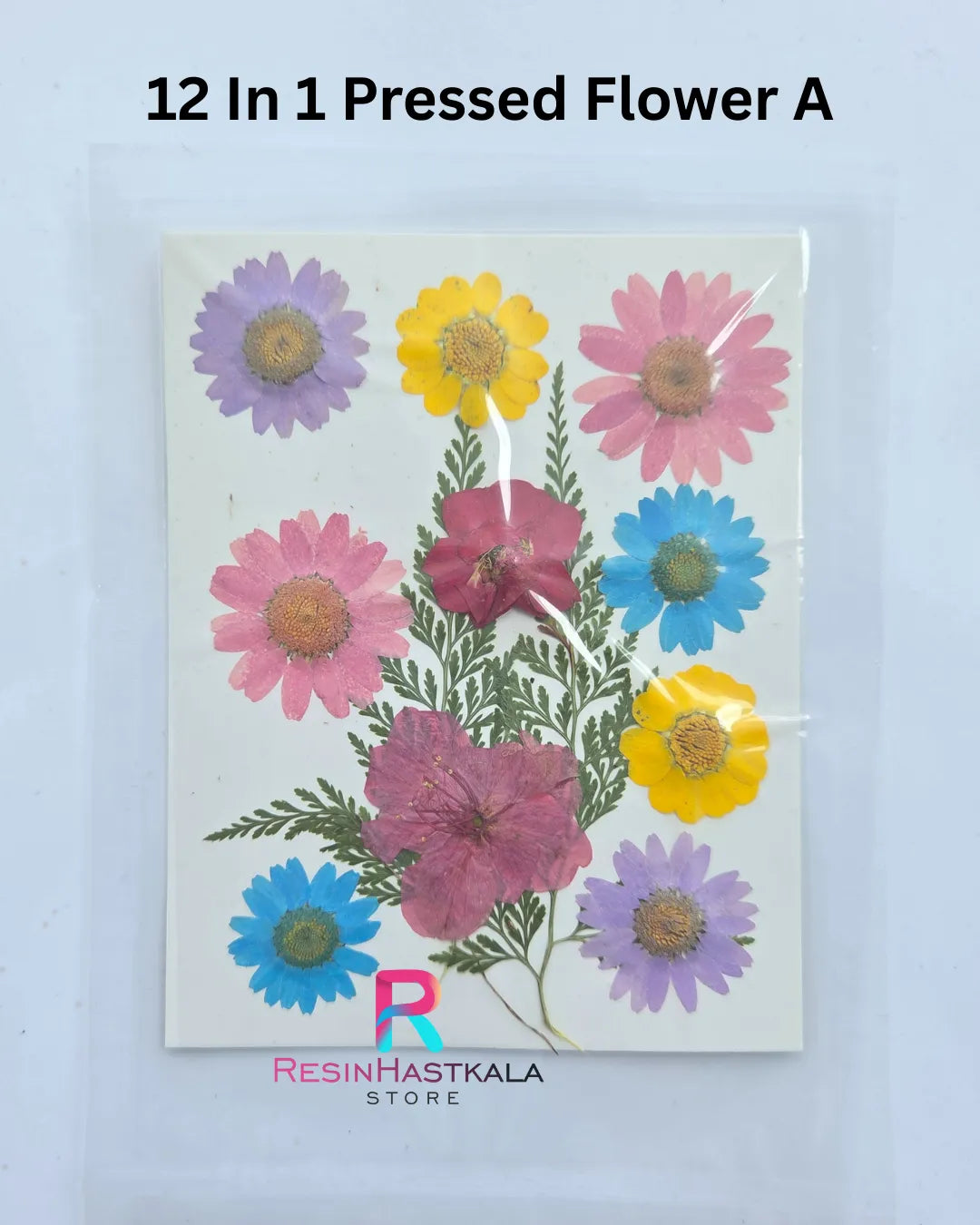 12 In 1 Pressed Flower A