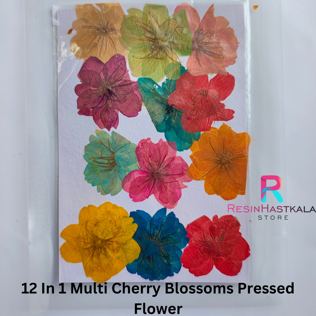 12 In 1 Multi Cherry Blossoms Pressed Flower