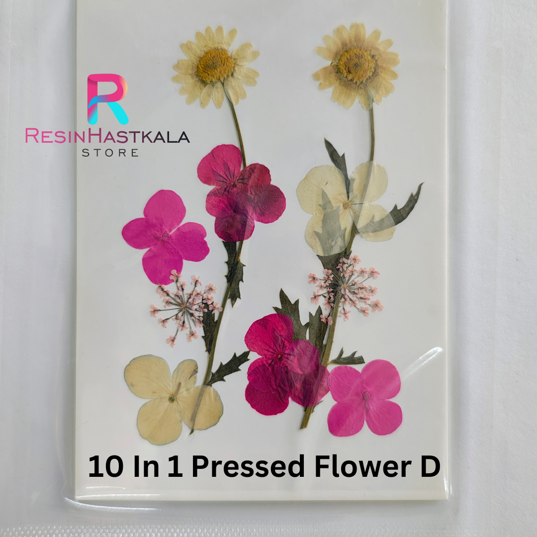 10 In 1 Pressed Flower D