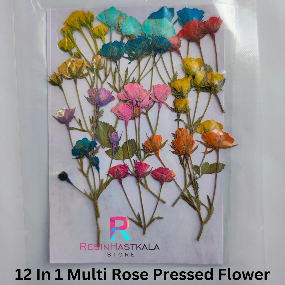12 In 1 Multi Rose Pressed Flower