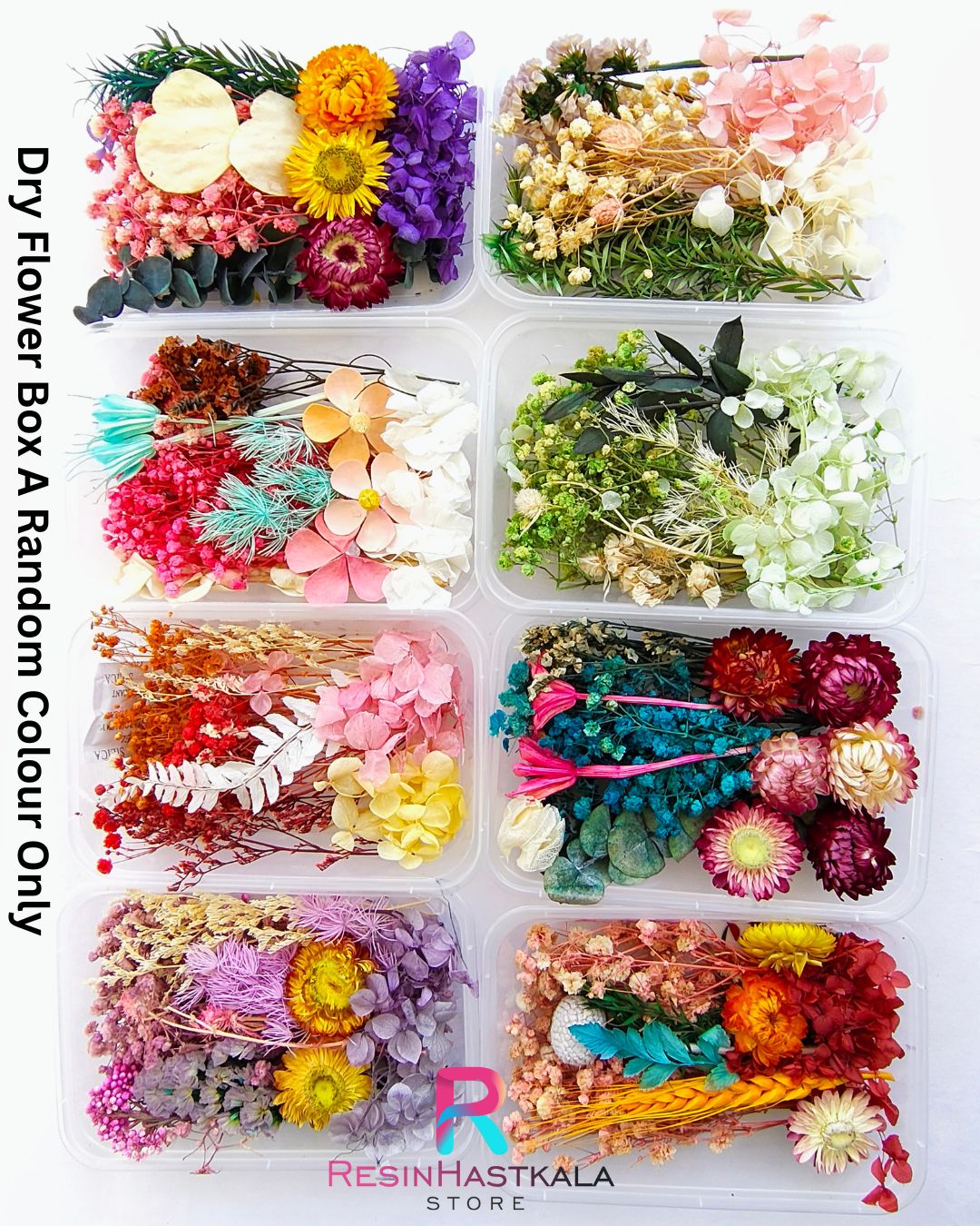 Dry Flower Box A Random Colour Only