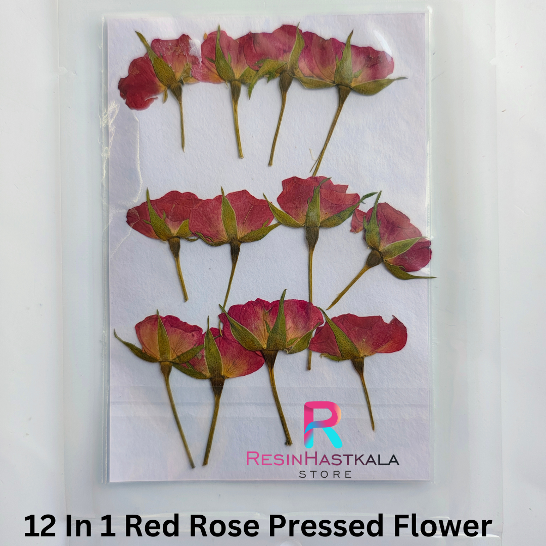 12 In 1 Pressed Rose Flower