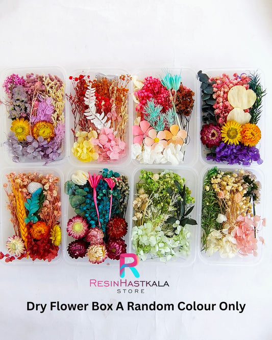 Dry Flower Box A Random Colour Only