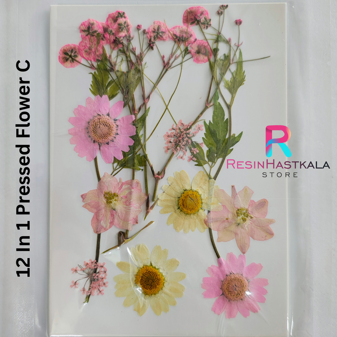 12 In 1 Pressed Flower C