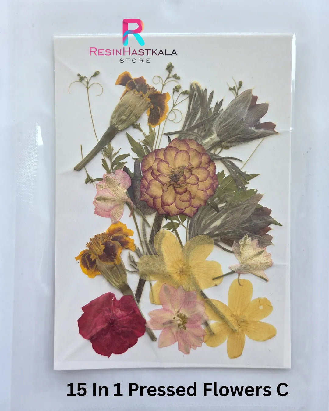 15 In 1 Pressed Flowers C
