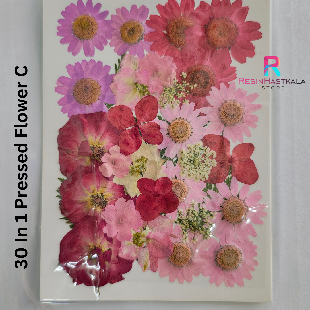 30 In 1 Pressed Flower C