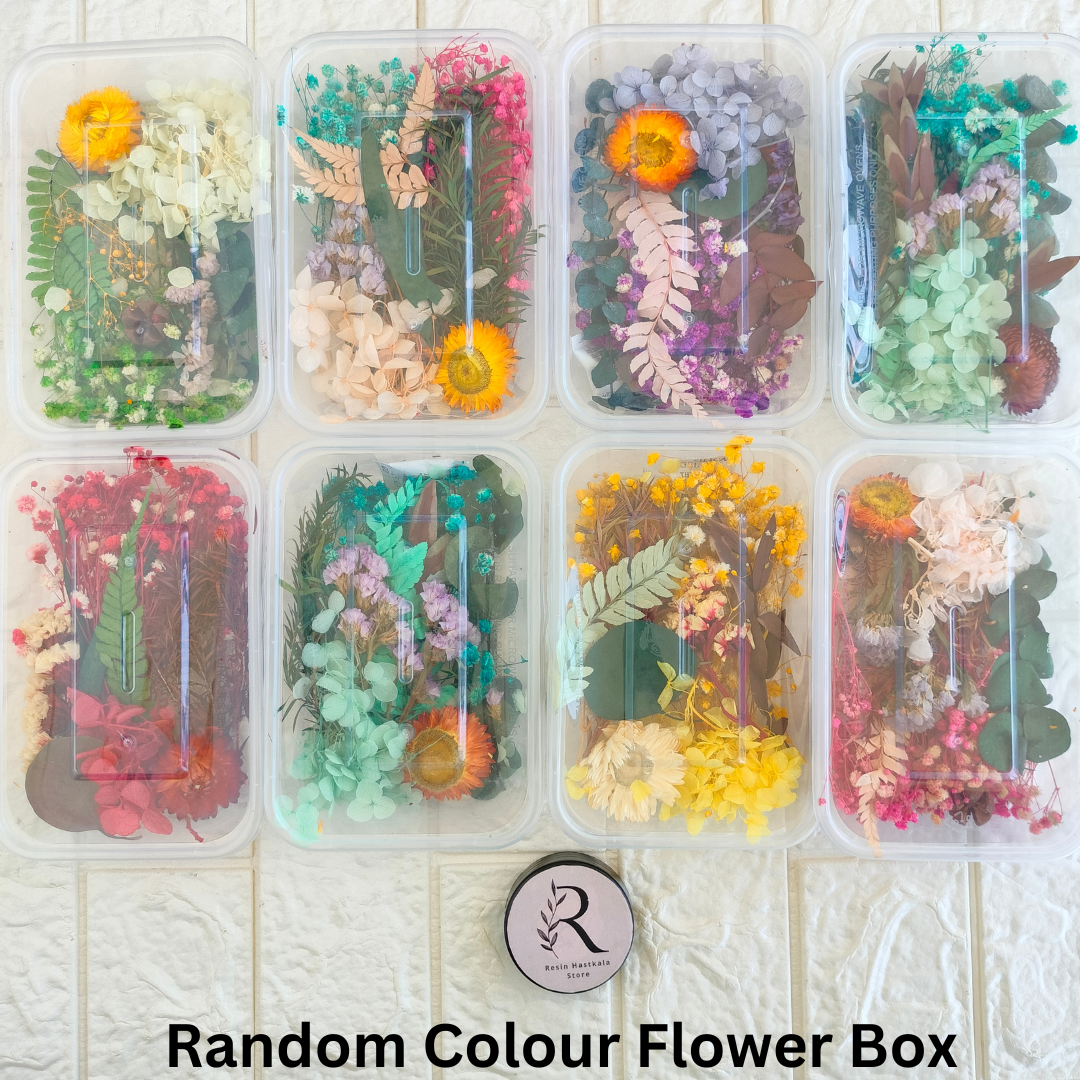 Dry Flower Box A Random Colour Only