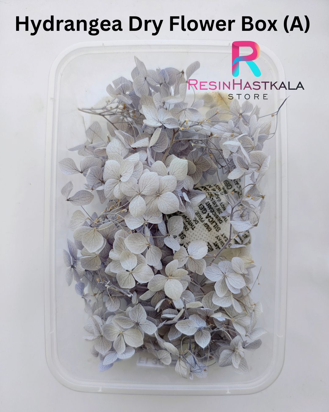 Hydrangea Dry Flower Box (A)