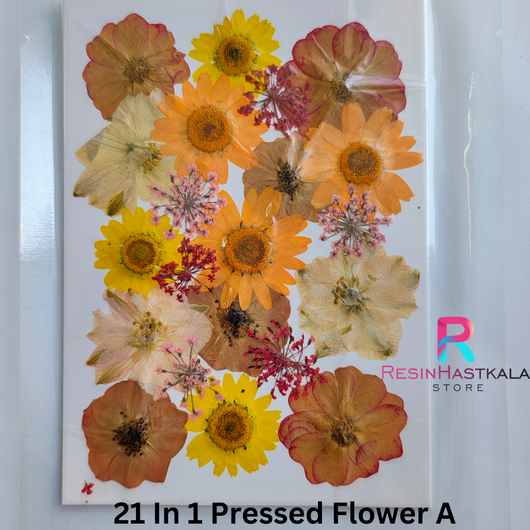 21 In 1 Pressed Flower A