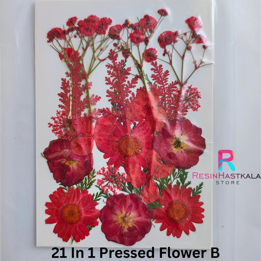 21 In 1 Pressed Flower B