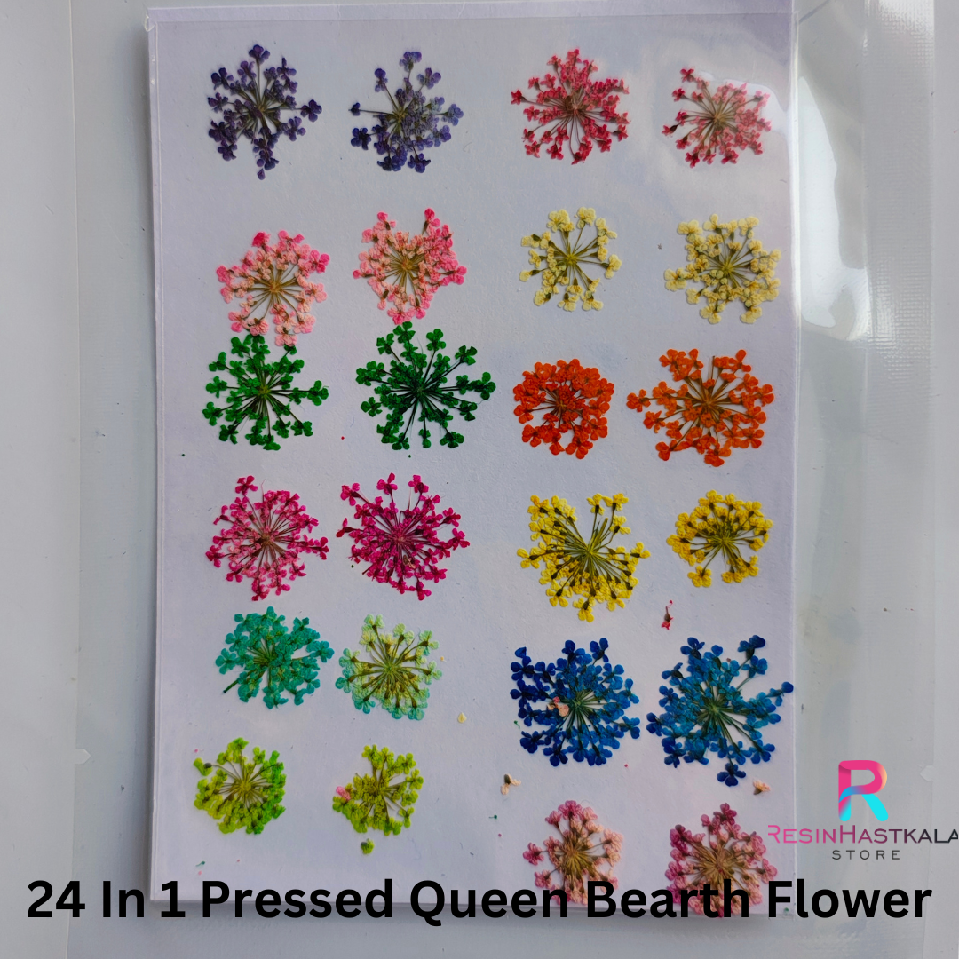 24 In 1 Pressed Queen Bearth Flower