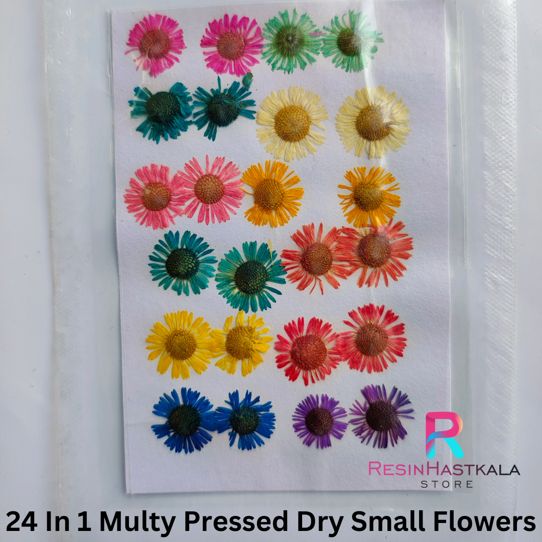 24 In 1 Multi Pressed Dry Small Flowers