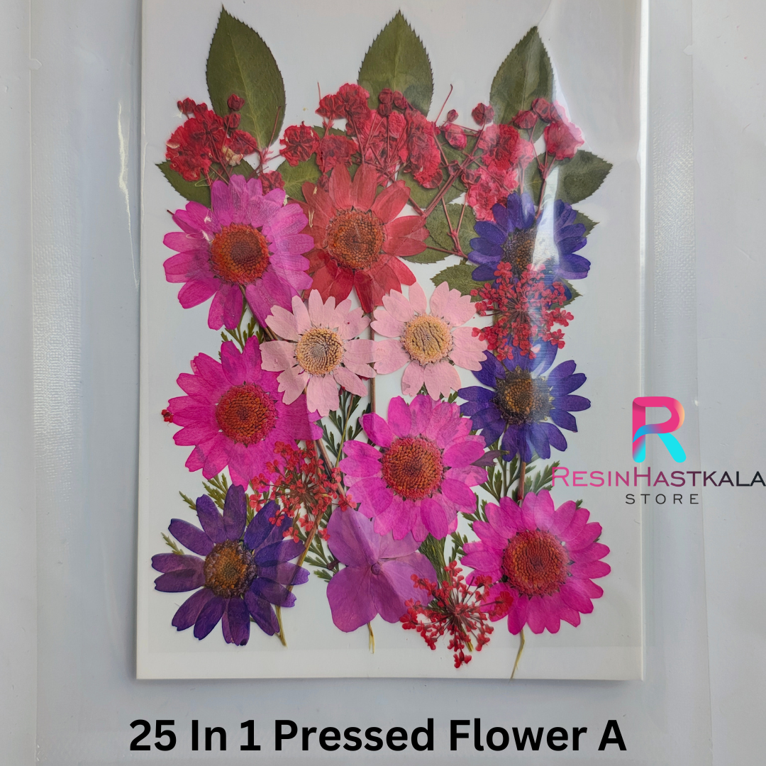 25 In 1 Pressed Flower A