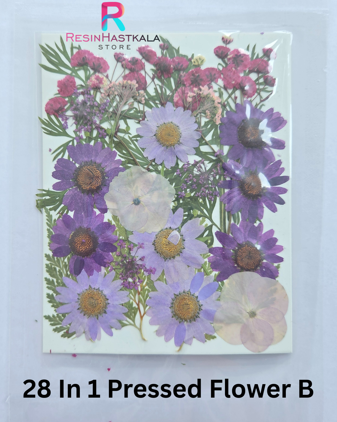 28 In 1 Pressed Flower B