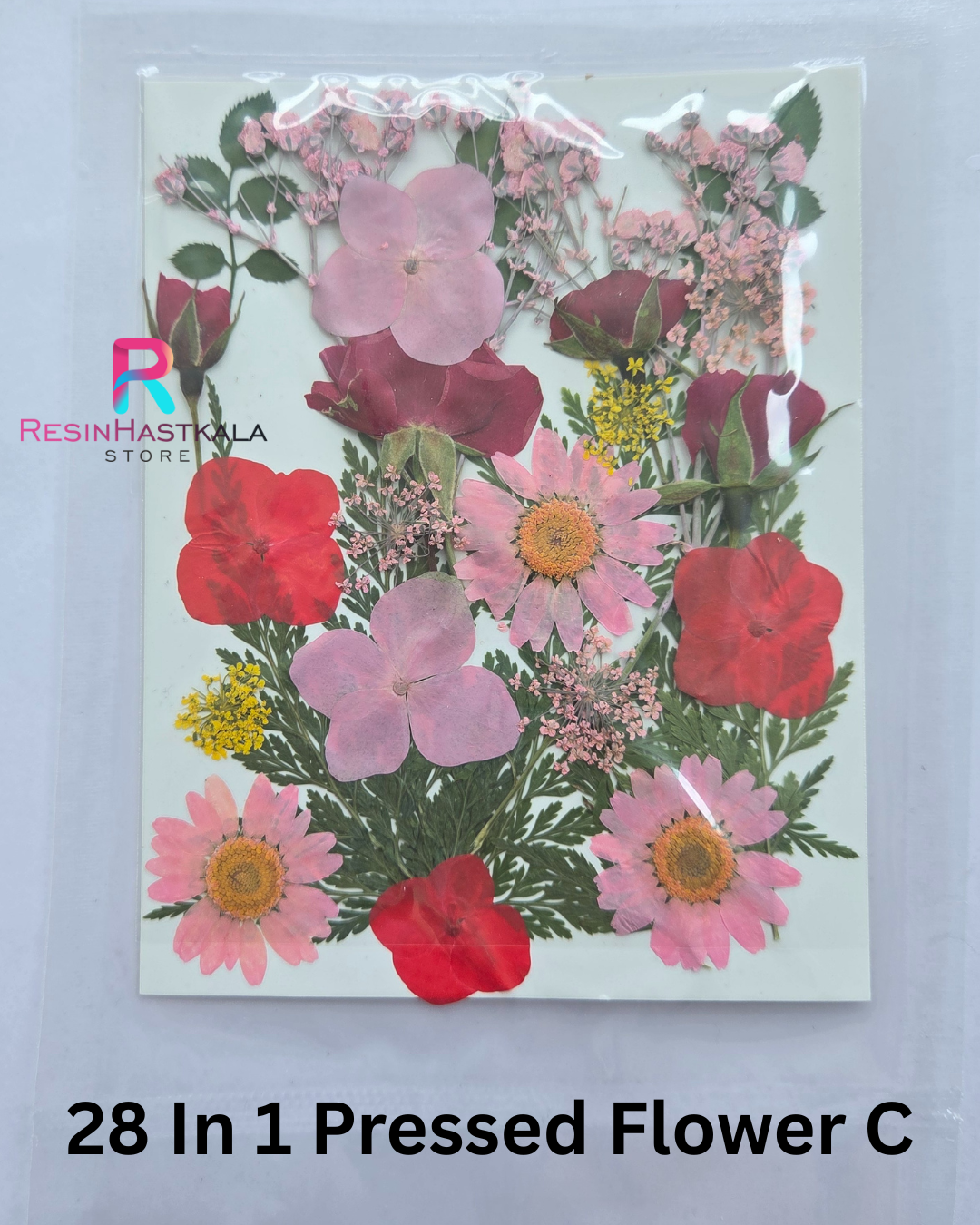 28 In 1 Pressed Flower C