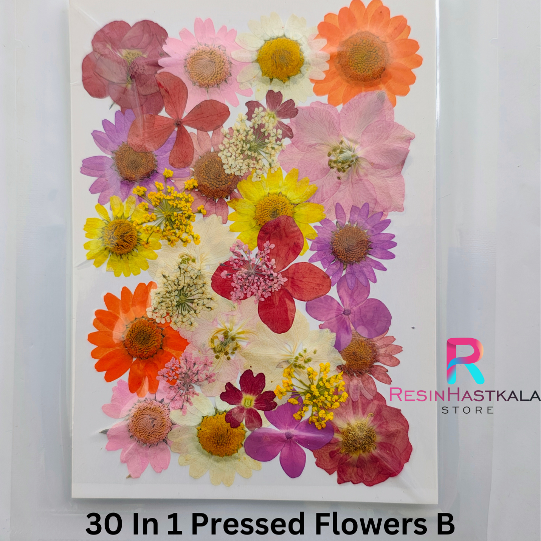 30 In 1 Pressed Flower B