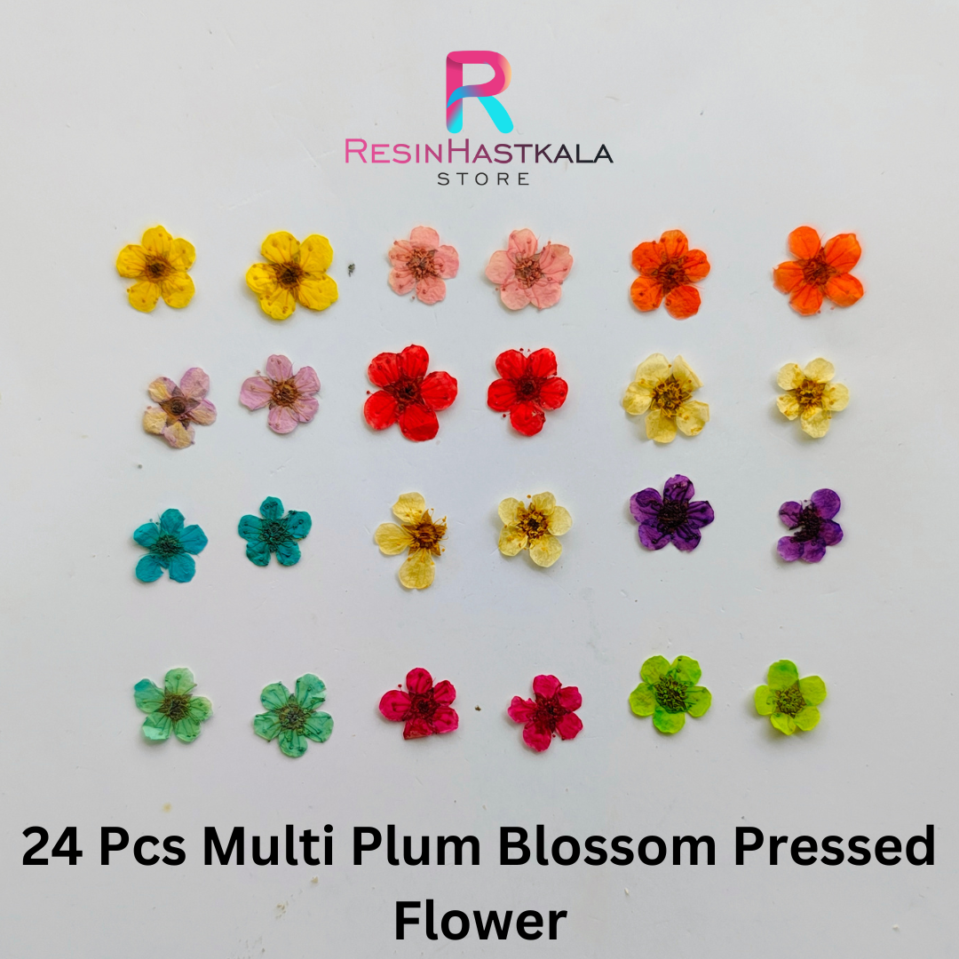 24 Pcs Mini Plum Blossom Pressed Flower