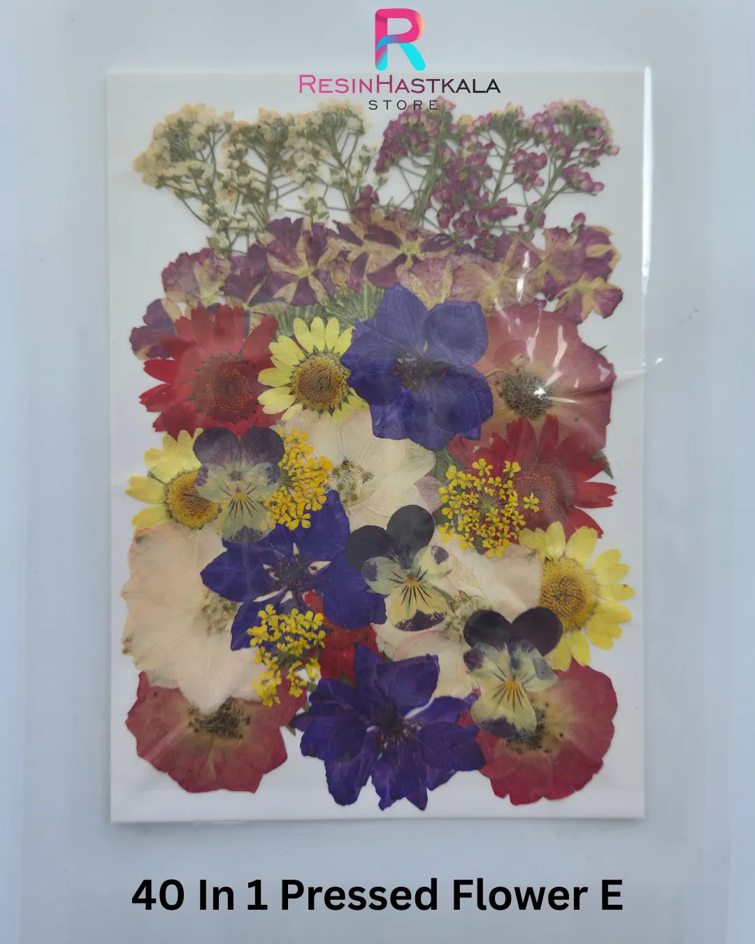 40 In 1 Pressed Flower E