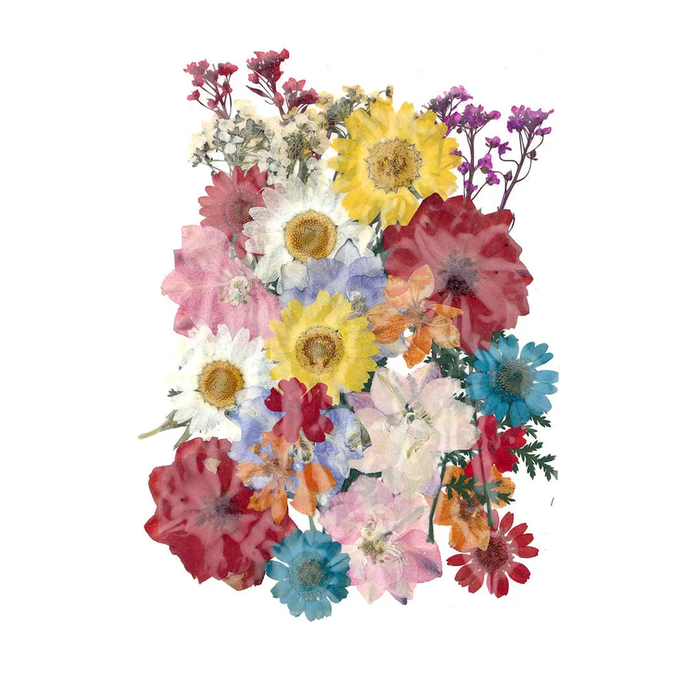 40 In 1 Pressed Flowers Fl147