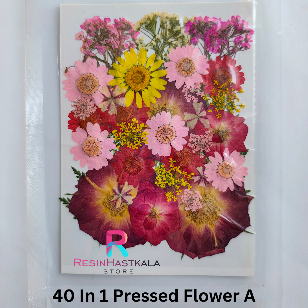 40 In 1 Pressed Flower A