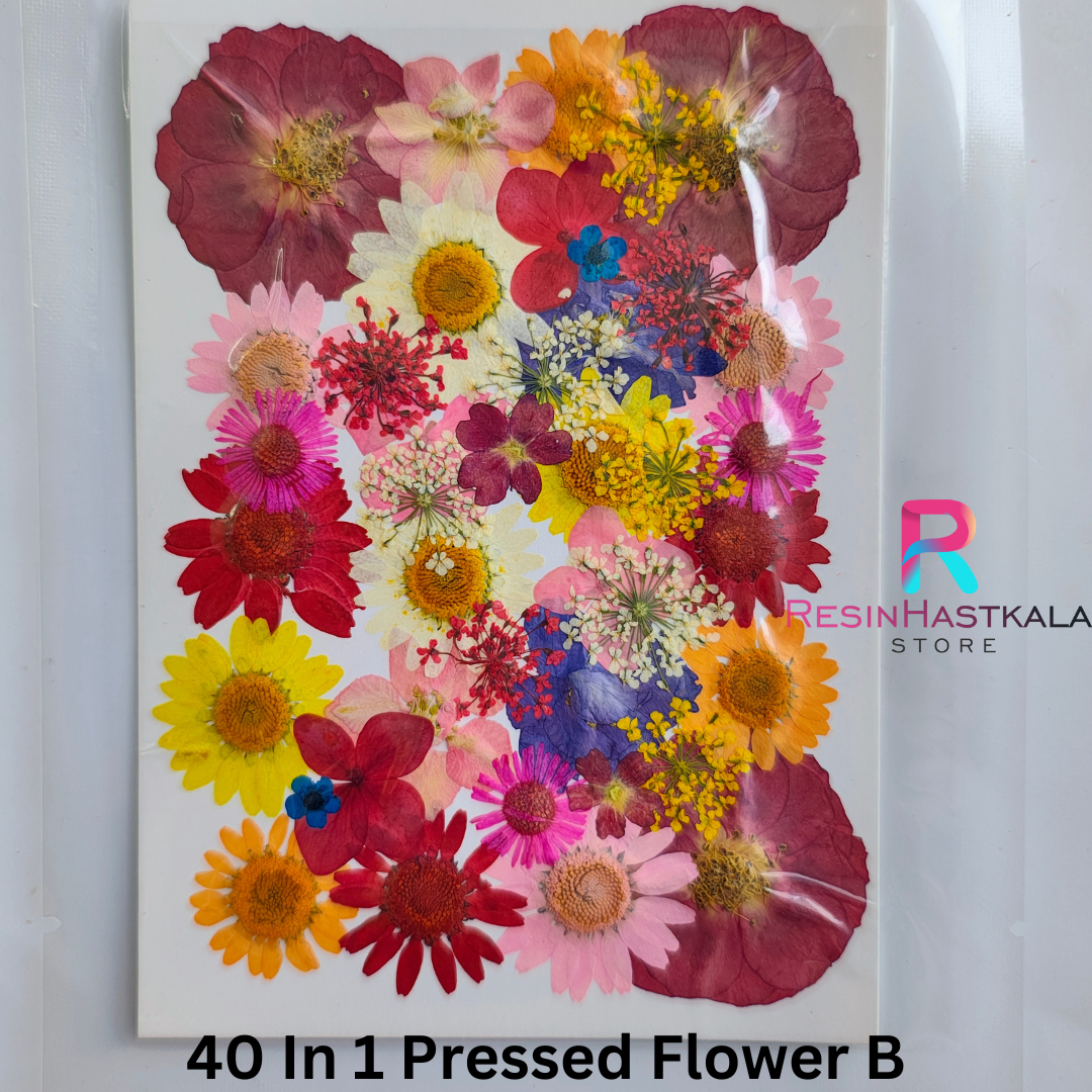 40 In 1 Pressed Flower B