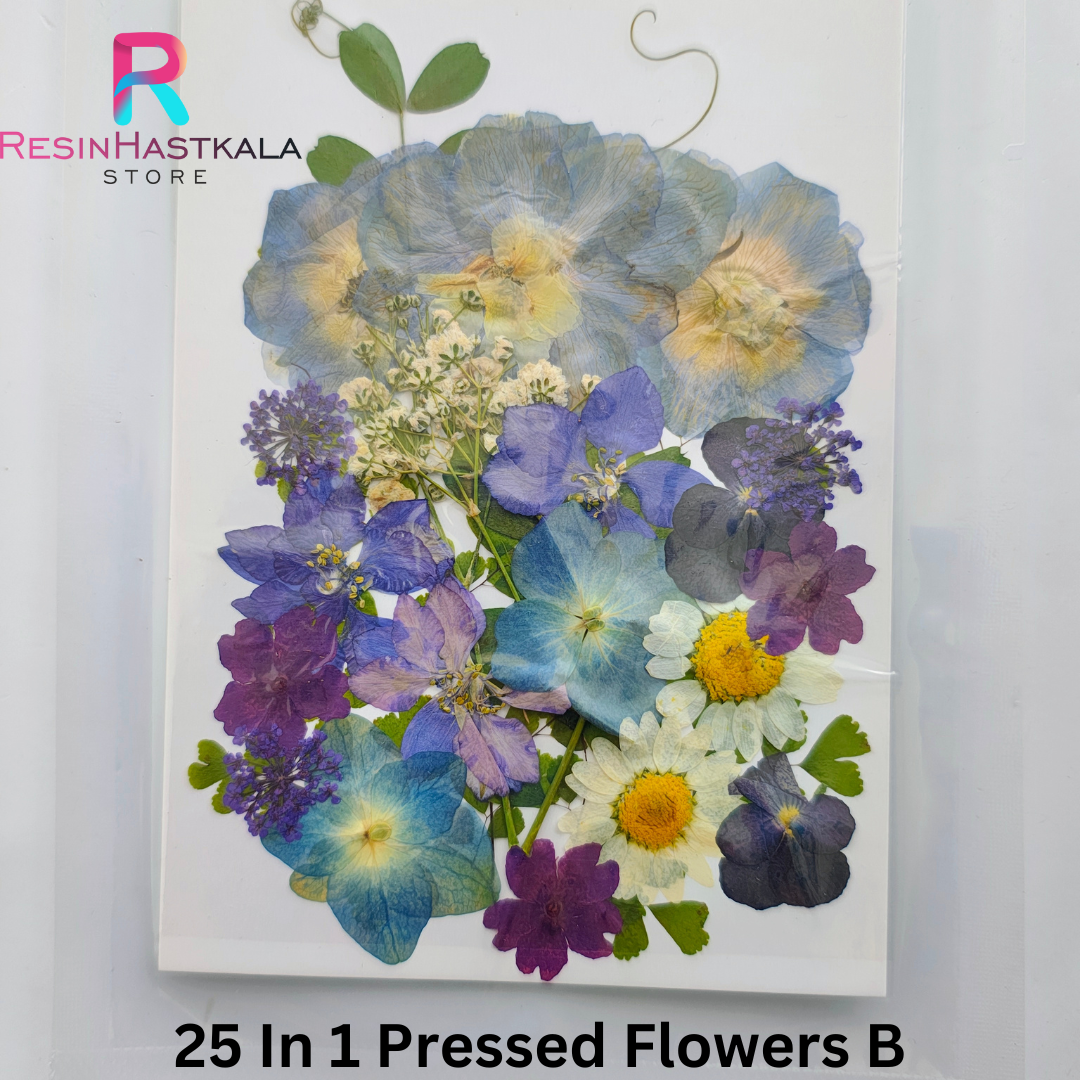 25 In 1 Pressed Flowers B