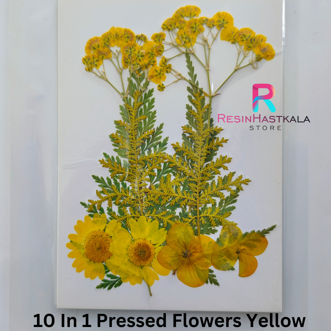 Yellow 10 In 1 Pressed Flower