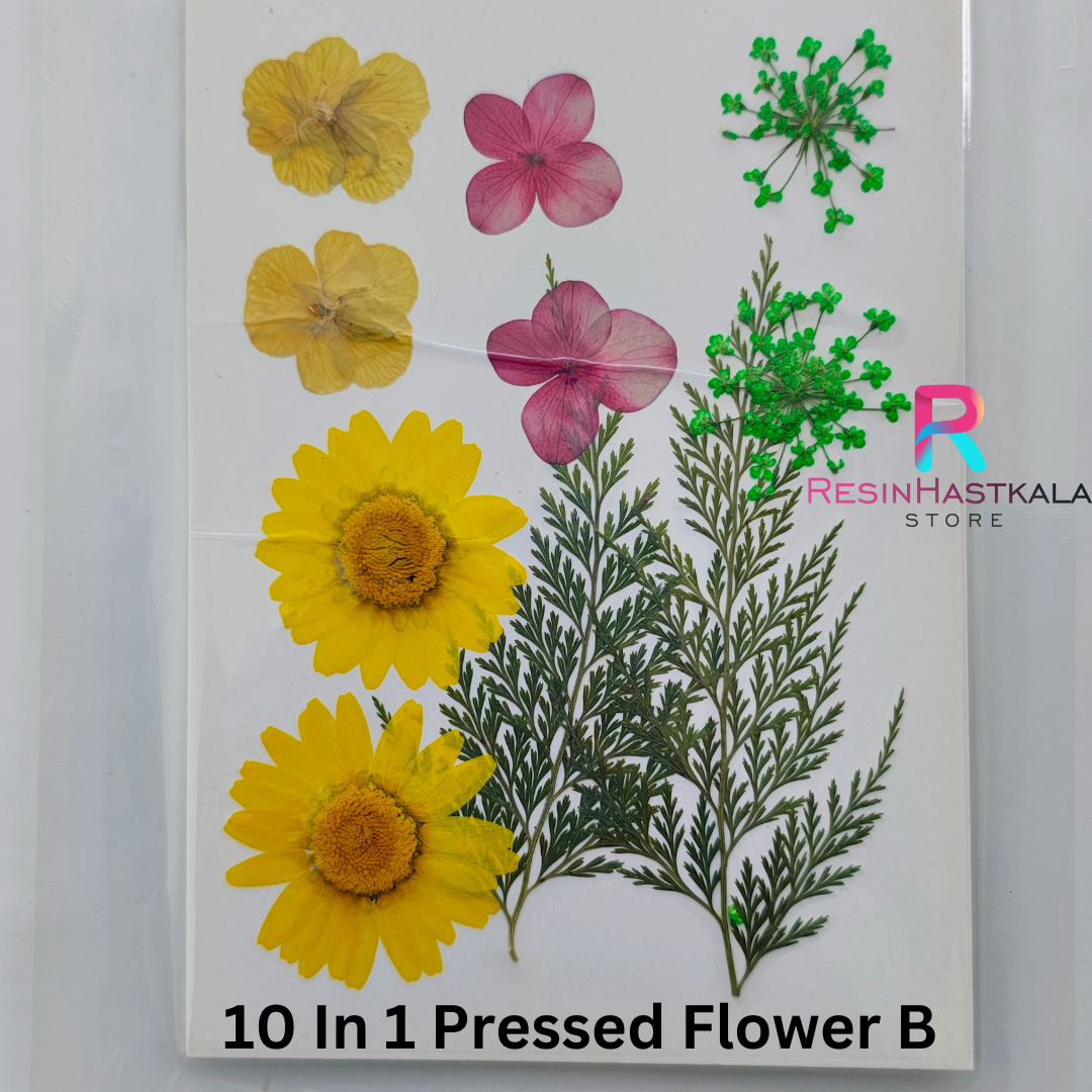 10 In 1 Pressed Flower B