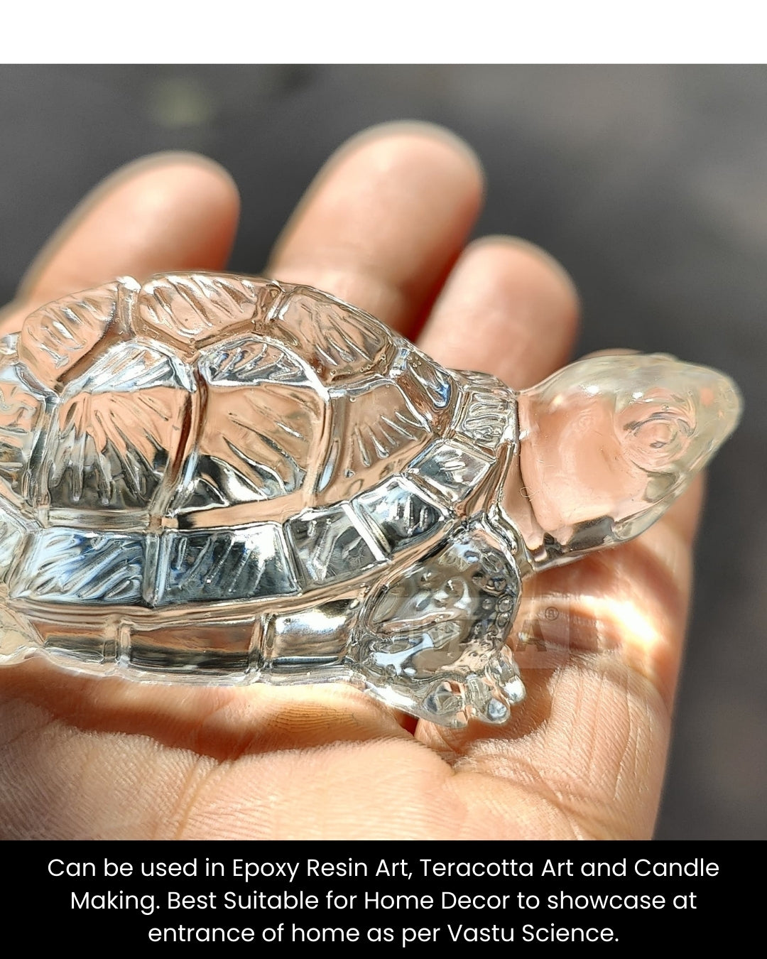 Big Turtle Mould