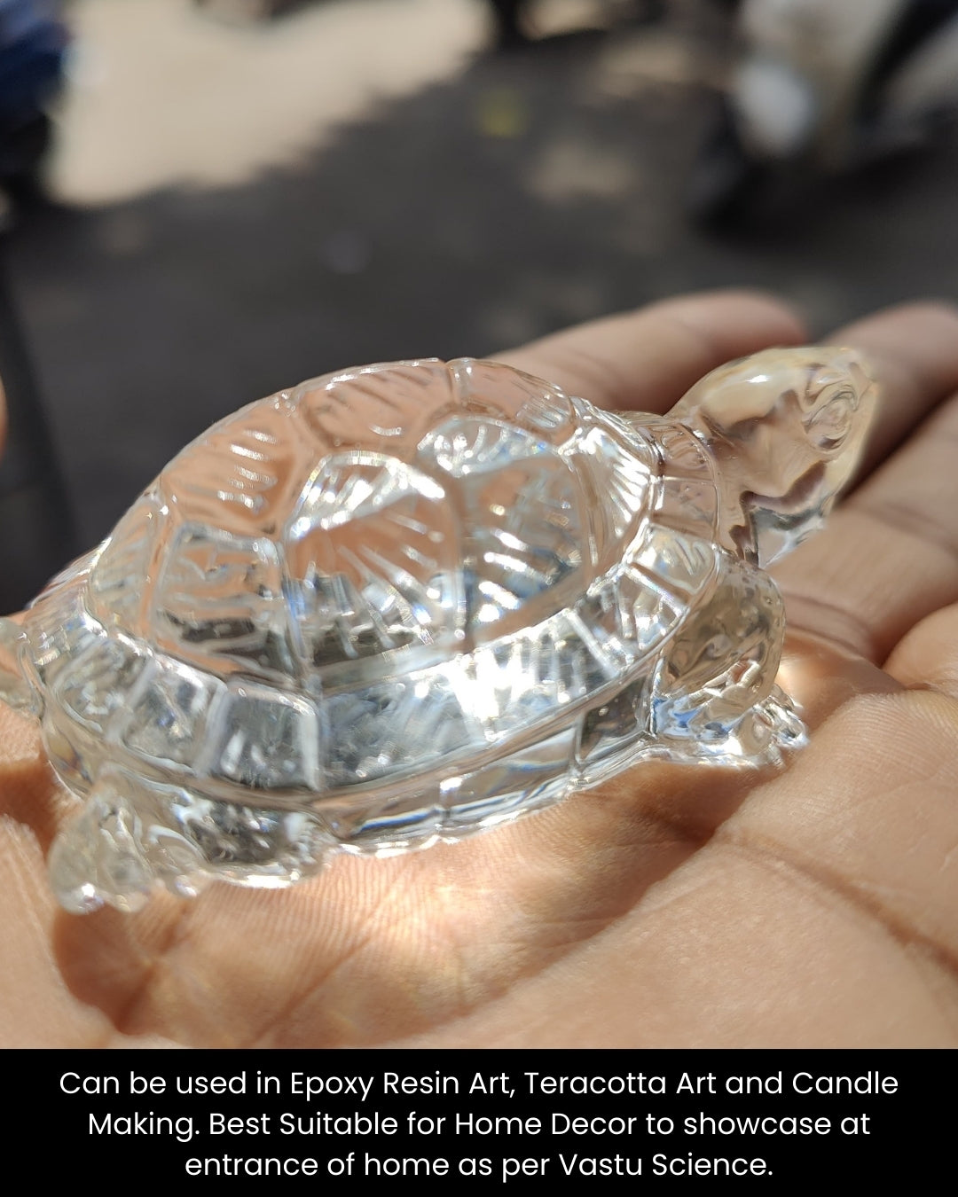 Big Turtle Mould
