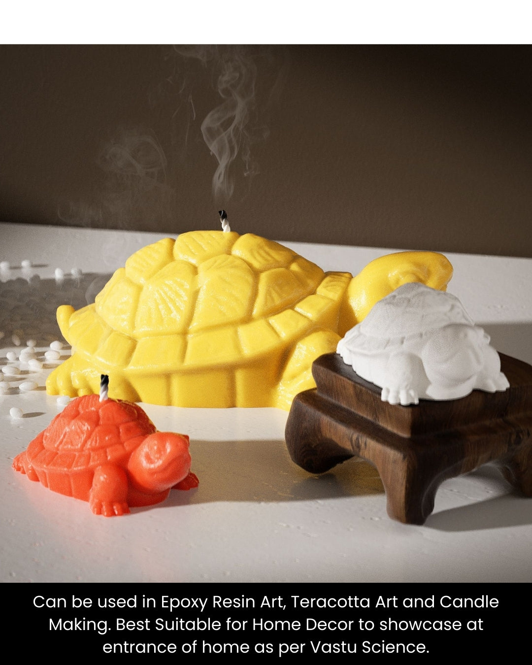 Big Turtle Mould