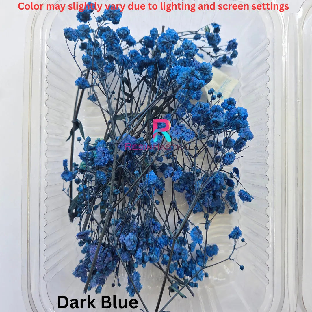 Dark Blue Gypsy Dried Flower Box