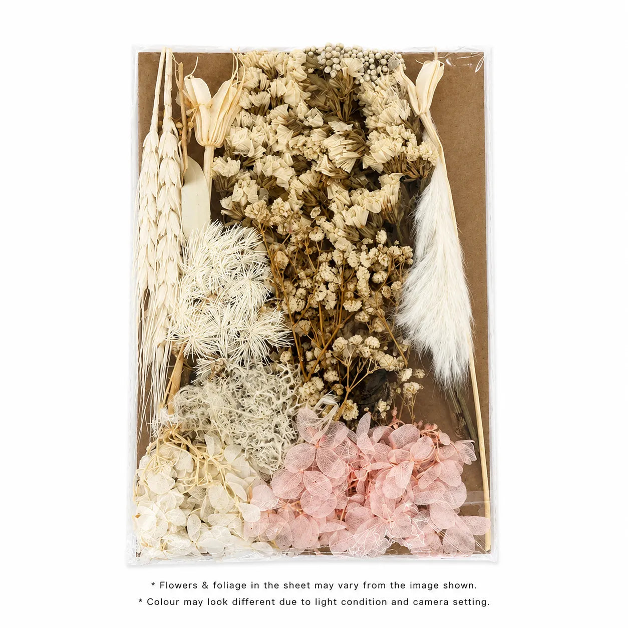 Dry Flower Sheet Card Packing – FL6016