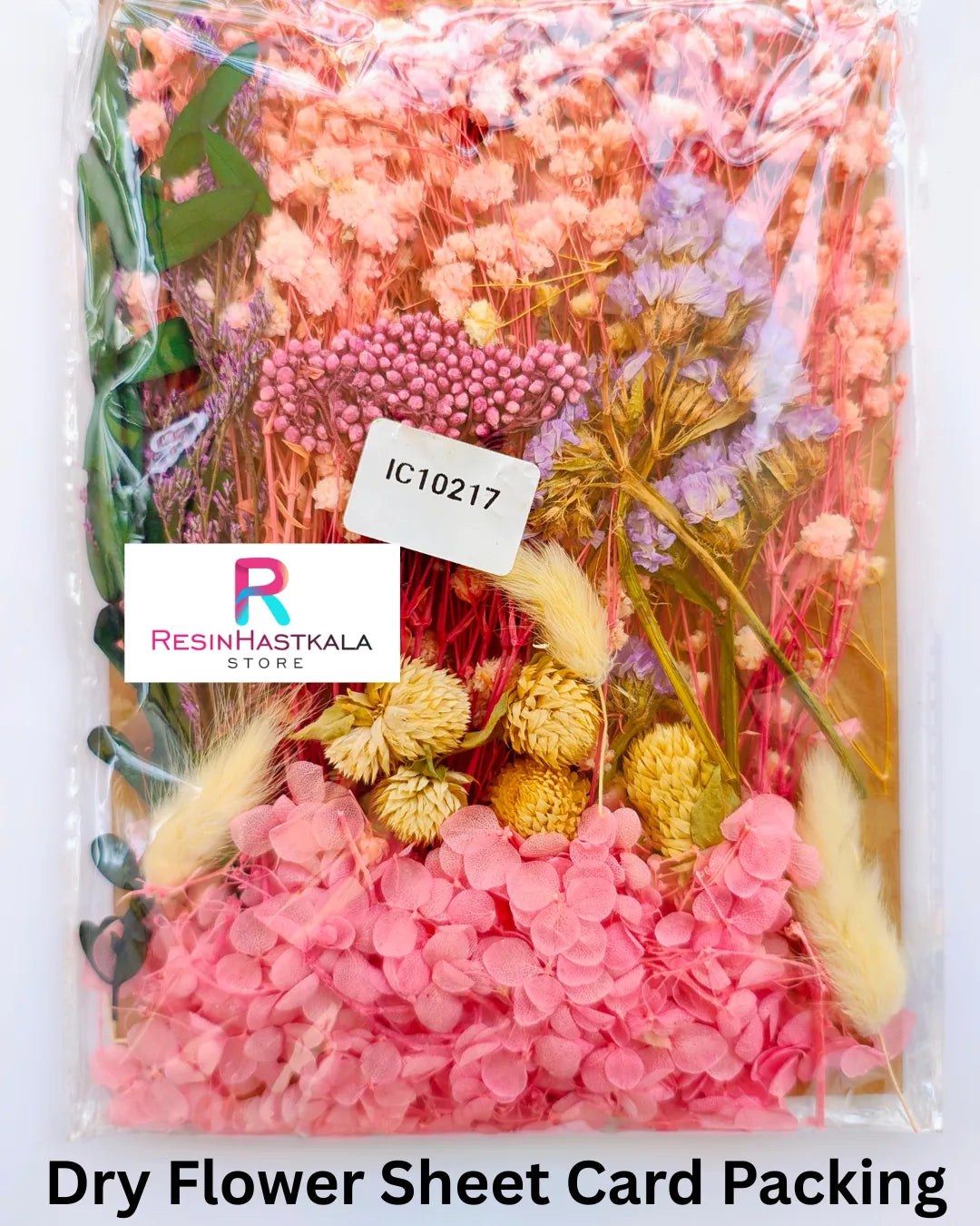 Dry Flower Sheet Card Packing (IC10217)