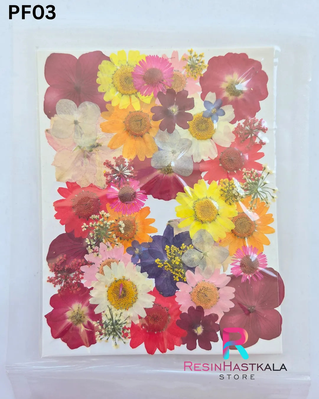 Dry Pressed Flower (PF03)