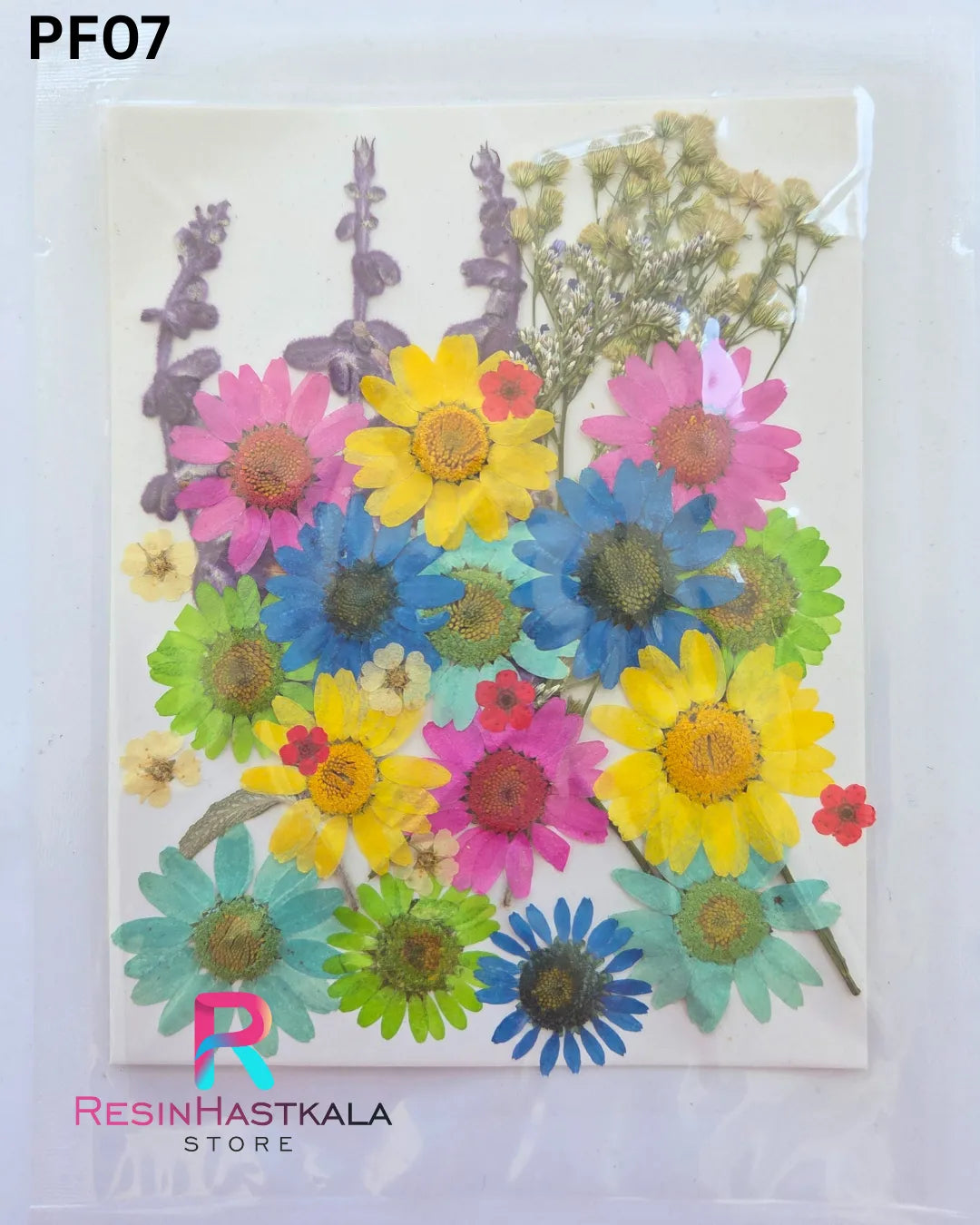 Dry Pressed Flower (PF07)