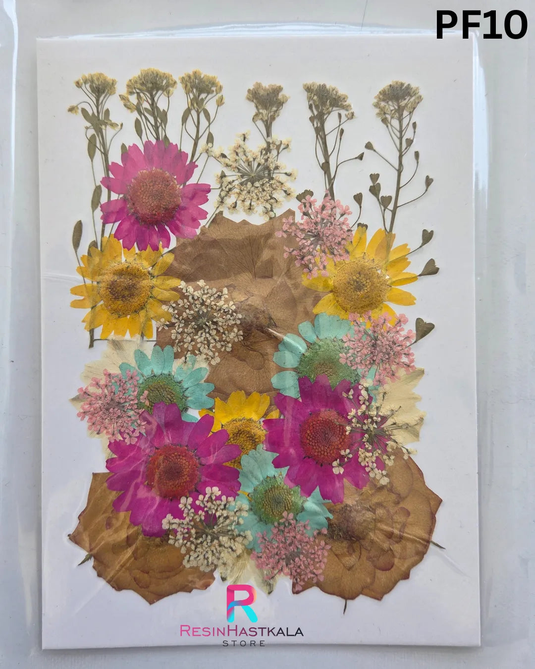 Dry Pressed Flower (PF10)