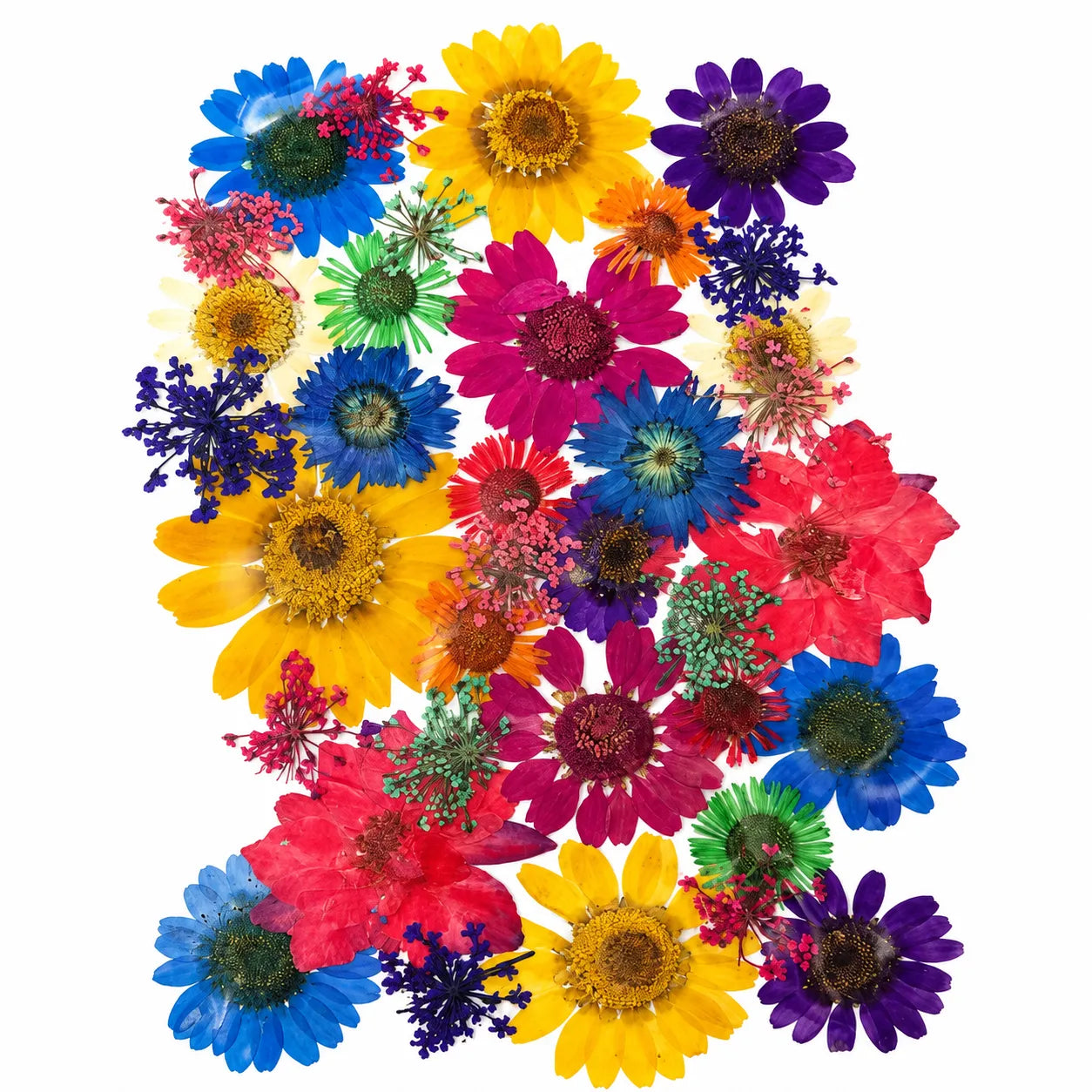 Dry Pressed Flower (PF15)