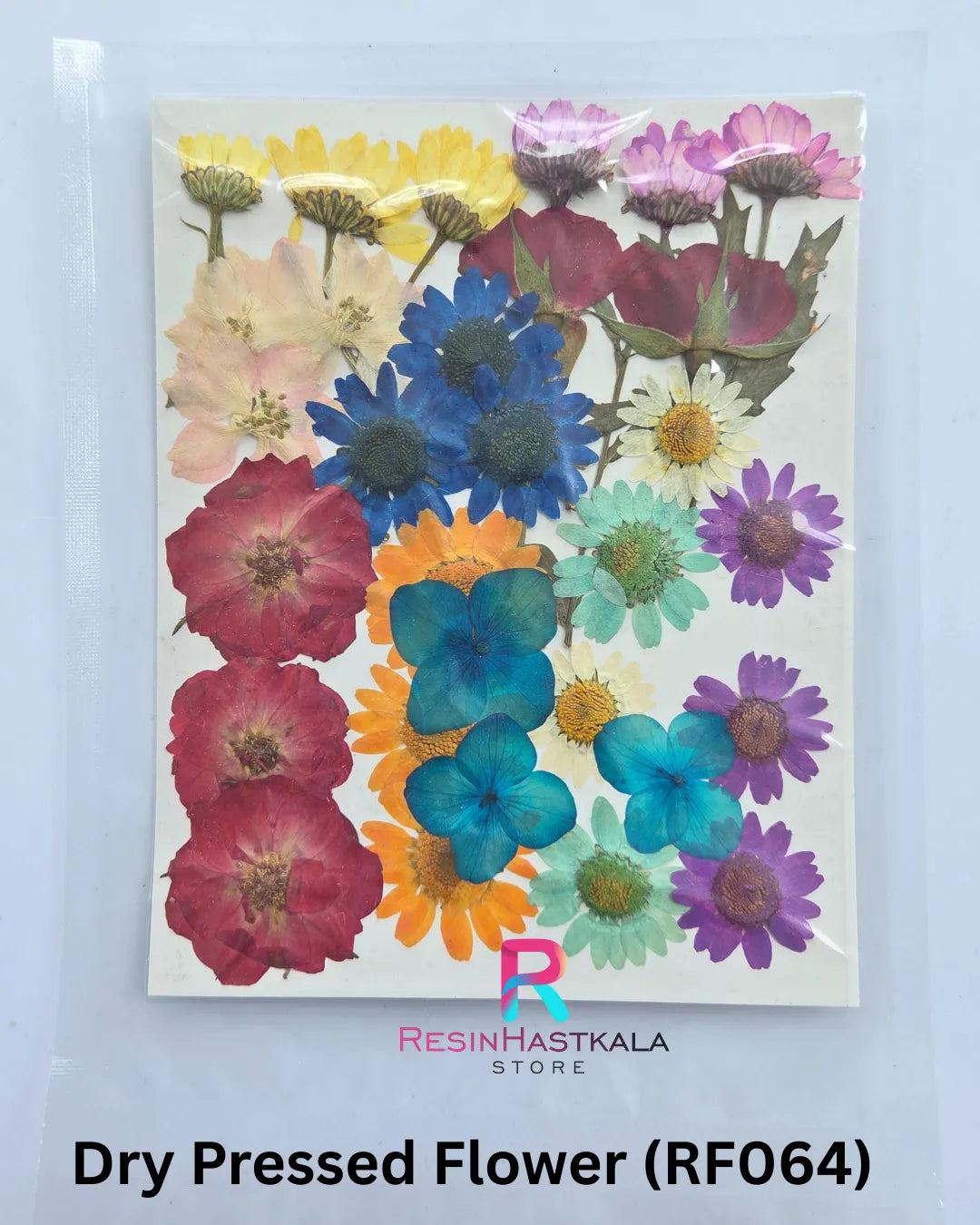 Dry Pressed Flower (RF064)