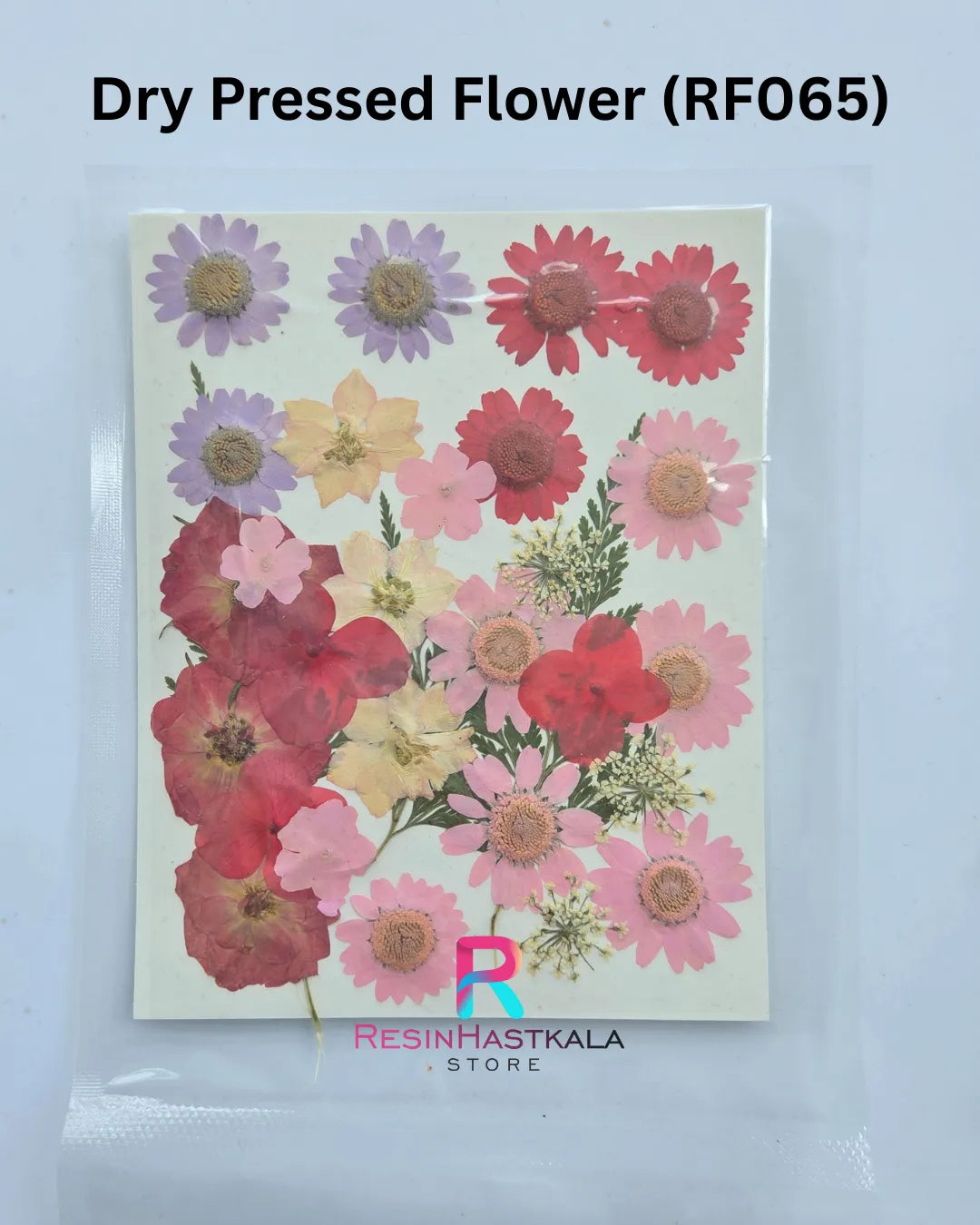 Dry Pressed Flower (RF065)