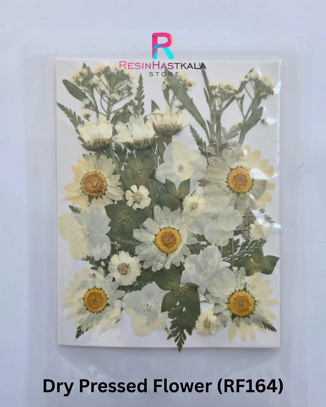 Dry Pressed Flower (RF164)