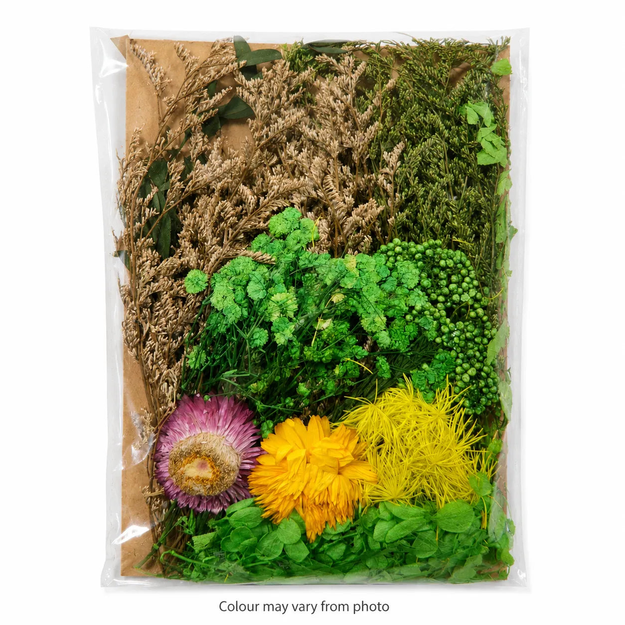 Dry Flower Sheet Card Packing – FL6032