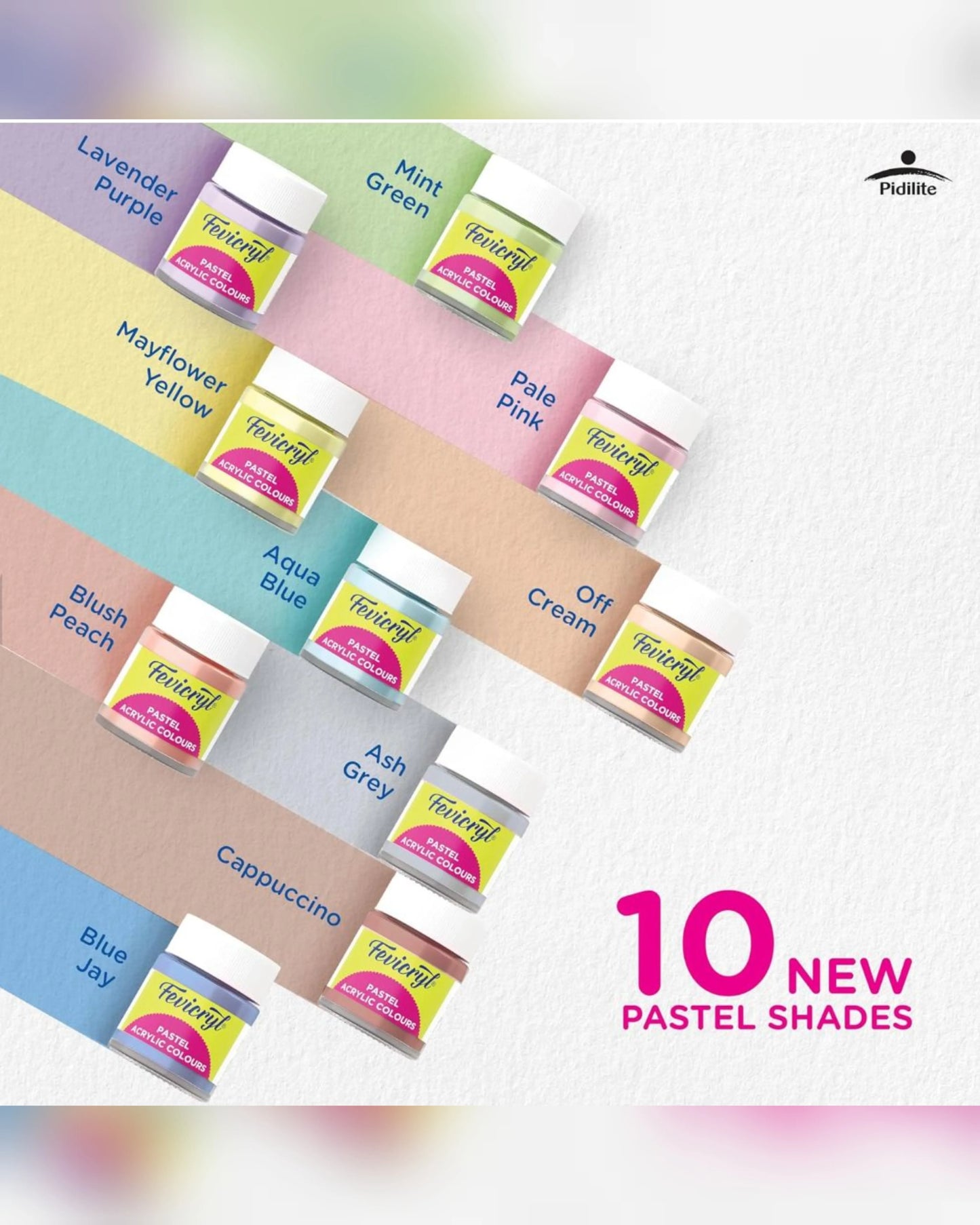 Fevicryl Pastel Acrylic Colours | 10 Colours X 15 Ml