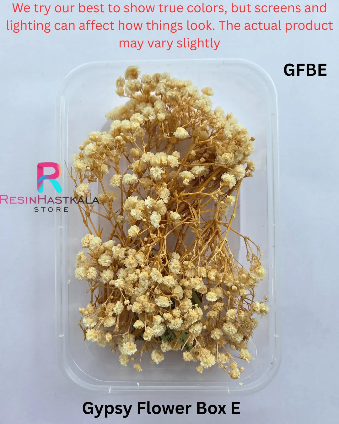 Gypsy Flower Box E (GFBE)