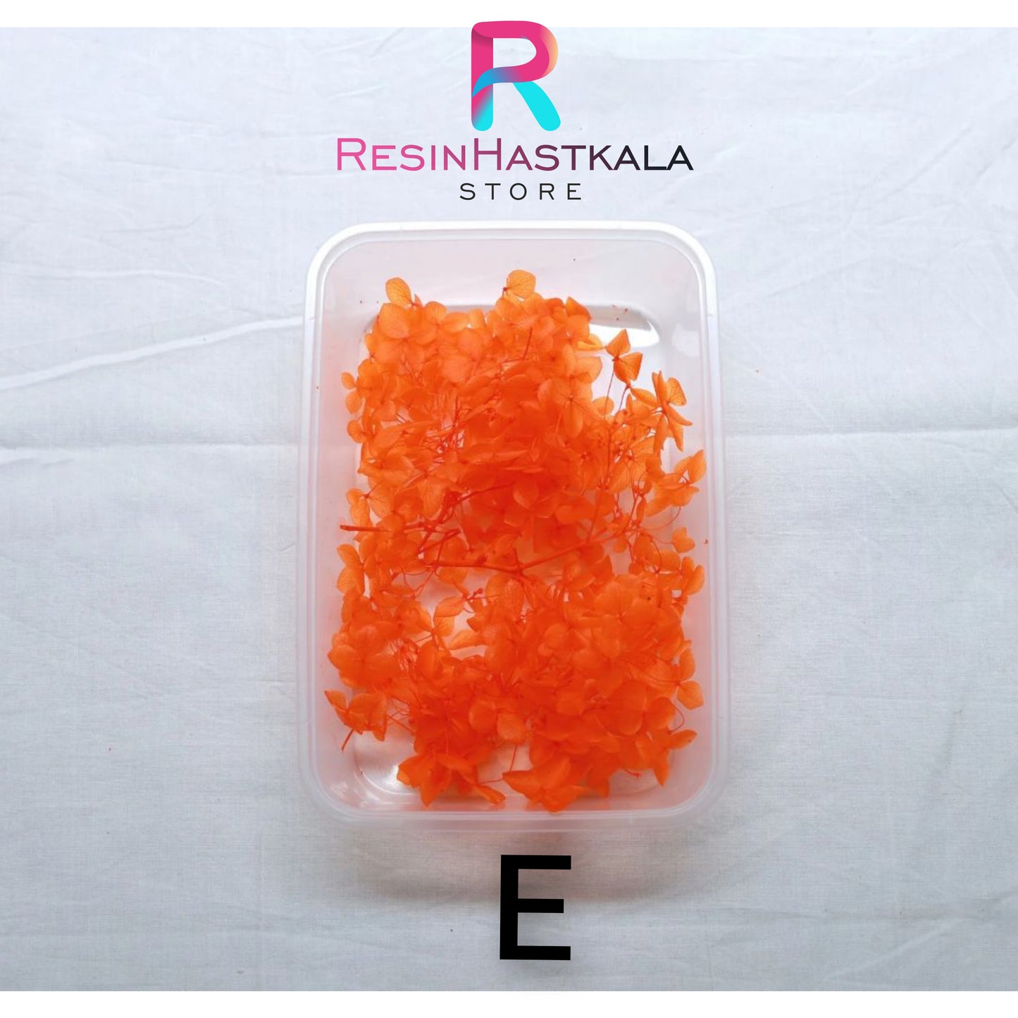 Hydrangea Dry Flower Box (E)