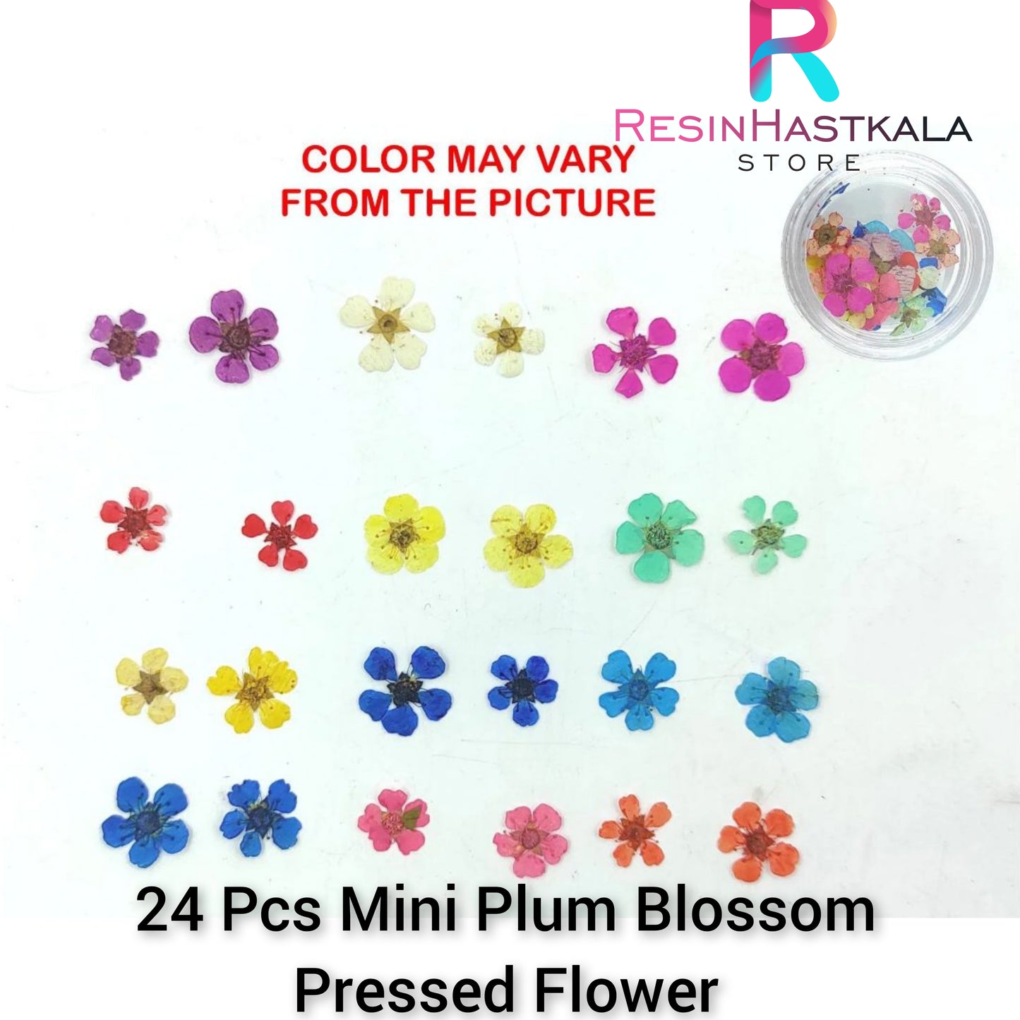 24 Pcs Mini Plum Blossom Pressed Flower